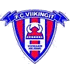 Viikingit logosu
