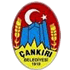 Çankırıspor logosu