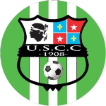Şırnakspor logosu