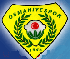 Osmaniyespor logosu