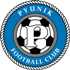 Pyunik III logosu